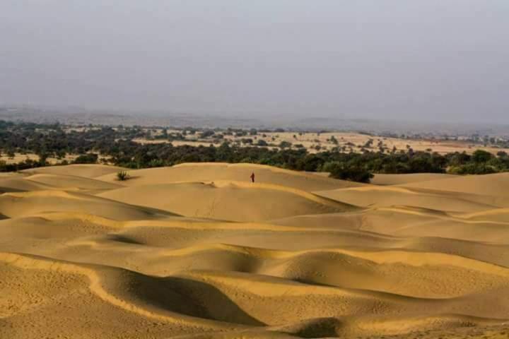 Sunny Desert Camp Kūri Екстериор снимка