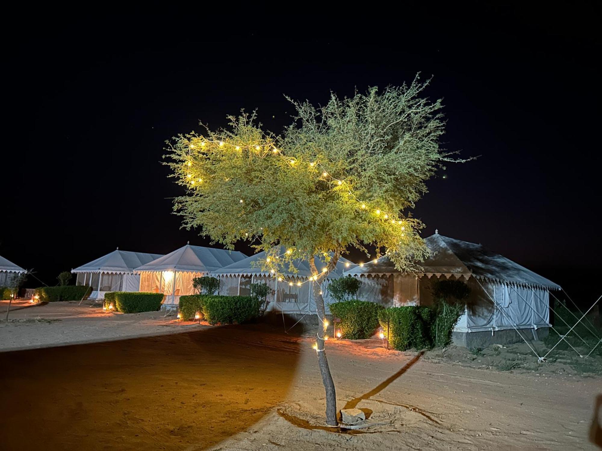 Sunny Desert Camp Kūri Екстериор снимка