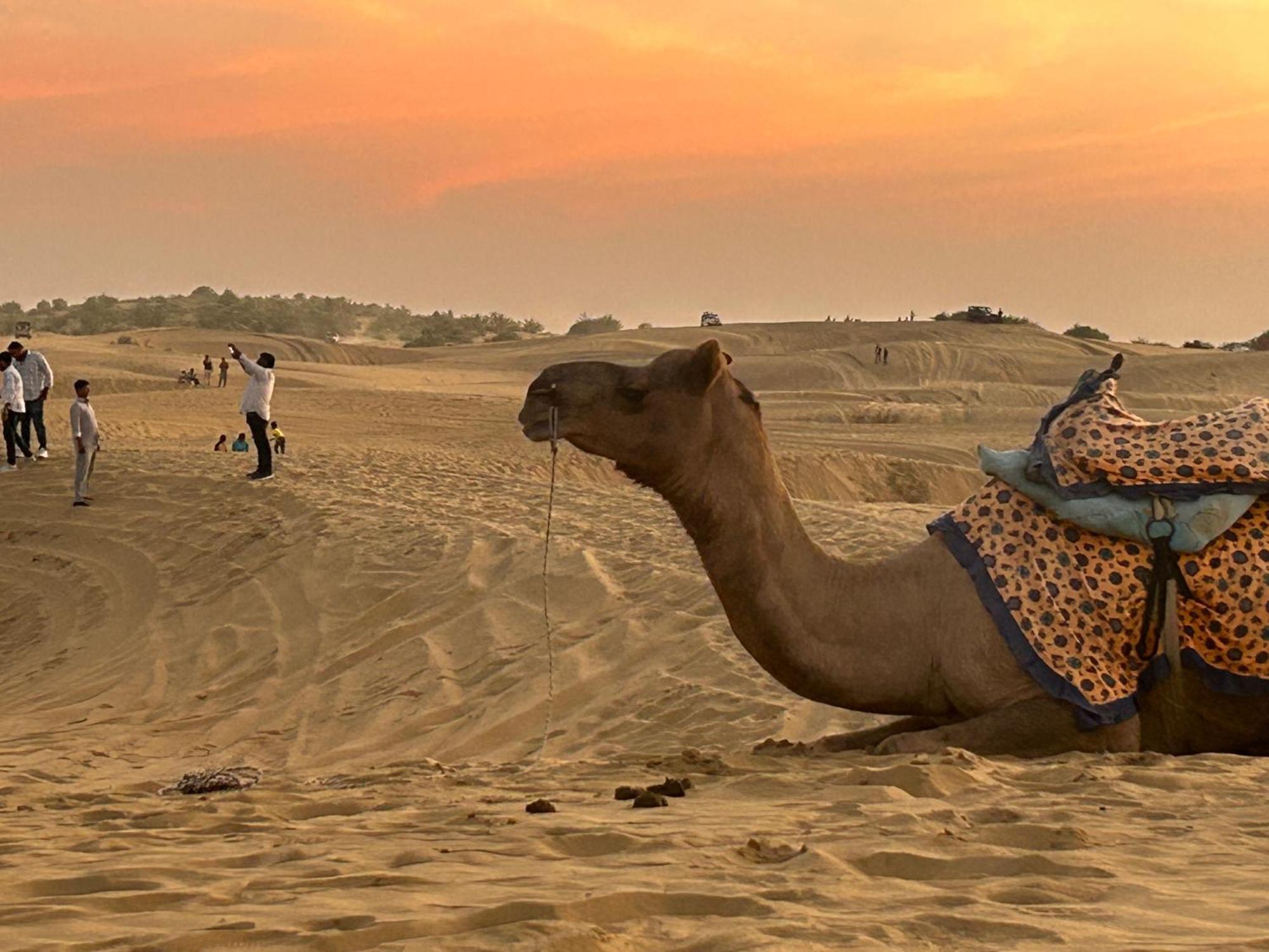 Sunny Desert Camp Kūri Екстериор снимка