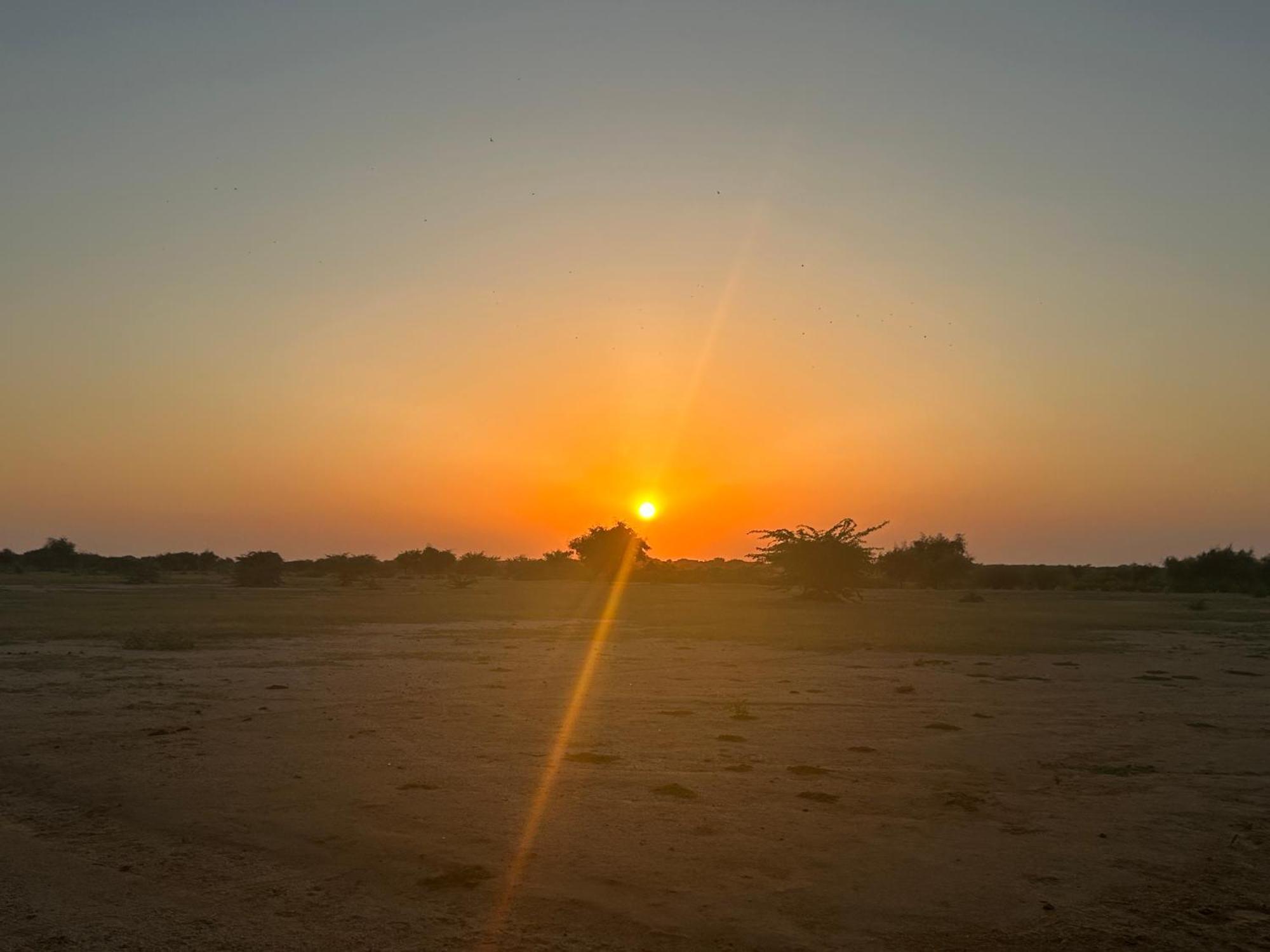 Sunny Desert Camp Kūri Екстериор снимка