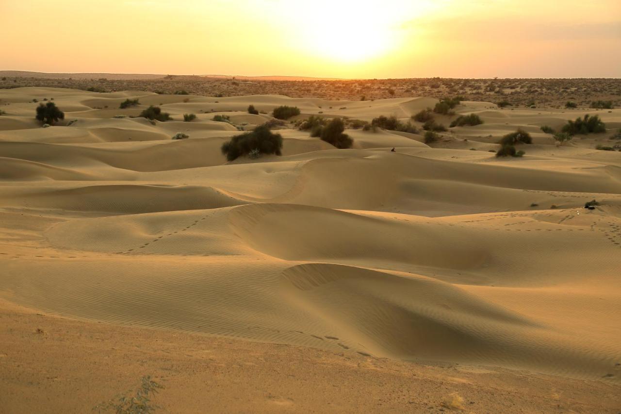 Sunny Desert Camp Kūri Екстериор снимка